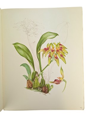 Lot 87 - HUNT, P. FRANCIS - 1973 ORCHIDACEAE, SIGNED LIMITED EDITION, COLOUR PLATES, SCARCE UNBOUND COPY