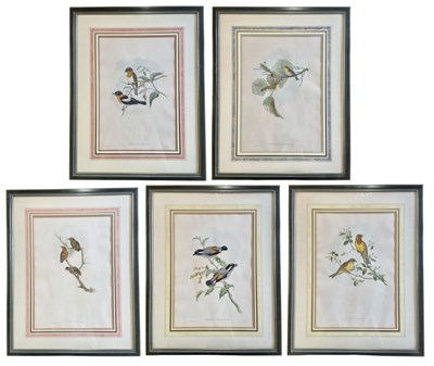 Lot 527 - AFTER JOHN GOULD & H. C. RICHTER - FIVE COLOURED LITHOGRAPHS OF BIRDS