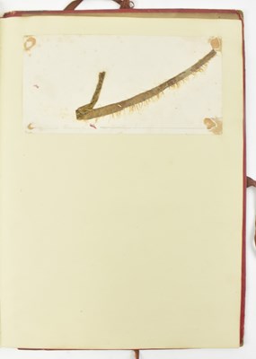 Lot 50 - PHYCOLOGY. VICTORIAN ALBUM OF PRESSED SEAWEED SPECIMENS FROM TORQUAY 1858