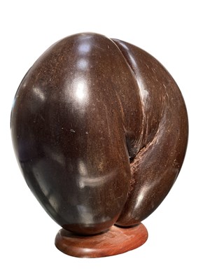 Lot 4 - COCO DE MER NUT (LODOICEA MALDIVICA) POLISHED AND MOUNTED