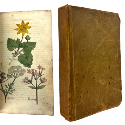 Lot 108 - [HILL, JOHN} - c1810 THE FAMILY HERBAL, HANDCOLOURED PLATES, BOTANICAL