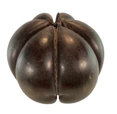 Lot 30 - CIRCA 1900 TRIPLE WIRE MOUNTED SEYCHELLES COCO DE MER NUTS