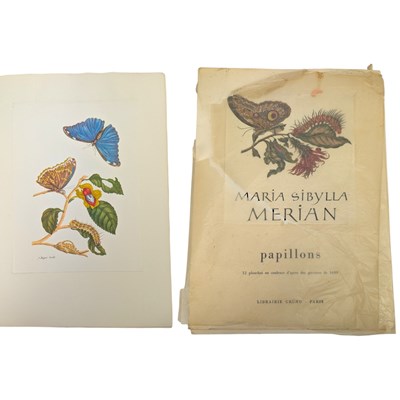Lot 94 - MERIAN, MARIA SIBYLLA - 12 COLOUR PLATES OF PAPILLIONS FROM 17TH CENTURY ENGRAVINGS