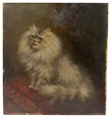 Lot 287 - AGNES AUGUSTA TALBOYS (1863-1941) - OTTO - LATE 19TH CENTURY OIL ON BOARD CAT PAINTING