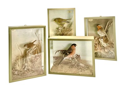 Lot 116 - NATURAL HISTORY - FOUR EARLY 20TH CENTURY TAXIDERMY BIRDS, WREN, ROBIN & MORE