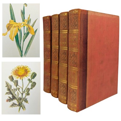 Lot 210 - HULME, F. EDWARD - 8VOLS IN 4 FAMILIAR WILD FLOWERS FIRST-EIGHTH SERIES